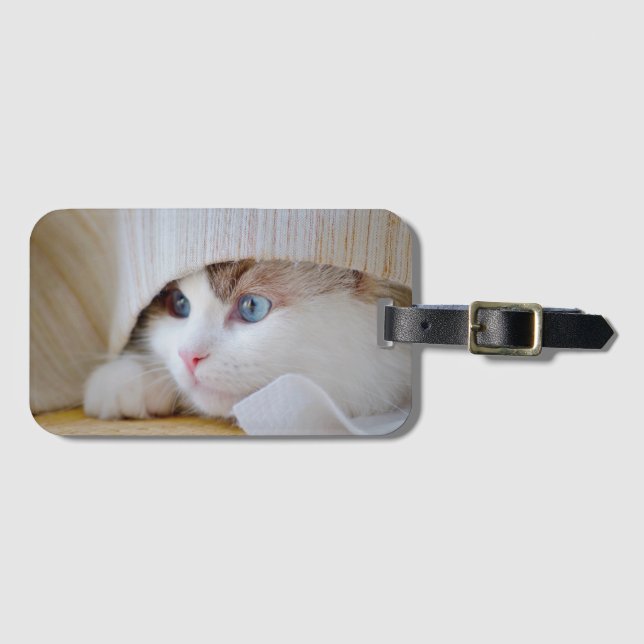 Etiqueta De Bagagem Cat, Natureza, Kitten (Frente Horizontal)