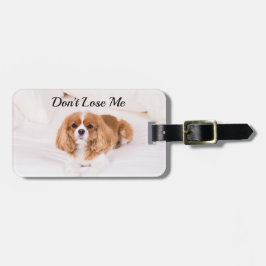 Etiqueta De Bagagem Cavalier King Charles Não me Perder