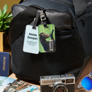 Etiqueta De Bagagem Cavalo castanho bonito a vaiar na grama