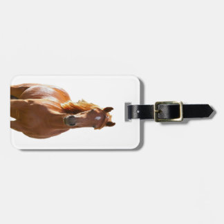 Etiqueta De Bagagem Cavalo elegante bonito de Brown