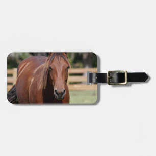 Etiqueta De Bagagem Cavalo, fotografia, Tag da bagagem