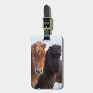 Etiqueta De Bagagem Cavalo islandês durante o inverno na Islândia