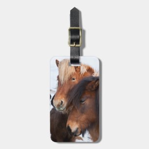 Etiqueta De Bagagem Cavalo islandês durante o inverno na Islândia