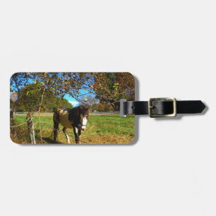 Etiqueta De Bagagem Cavalo Pintado,