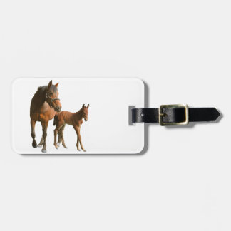Etiqueta De Bagagem Cavalos