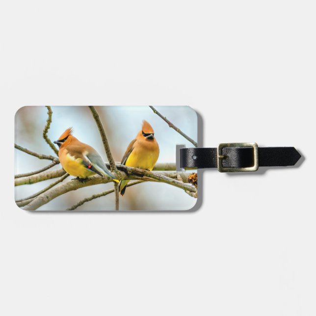 Etiqueta De Bagagem Cedar Waxwing - Foto Original (Frente Horizontal)