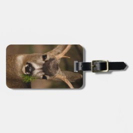 Etiqueta De Bagagem cervos