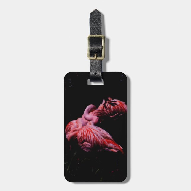 Etiqueta De Bagagem Chamas na Escuridão (Frente Vertical)