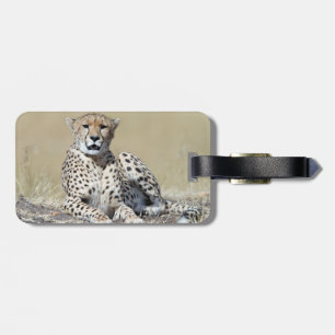 Etiqueta De Bagagem Cheetah