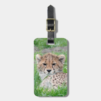 Etiqueta De Bagagem Cheetah20150904