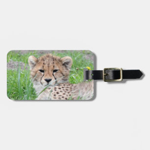 Etiqueta De Bagagem Cheetah20150904