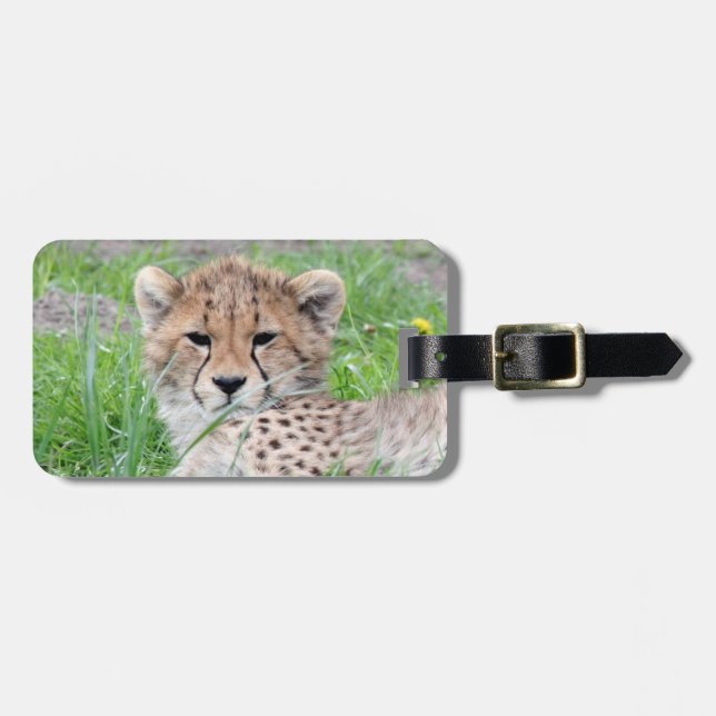 Etiqueta De Bagagem Cheetah20150904 (Frente Horizontal)