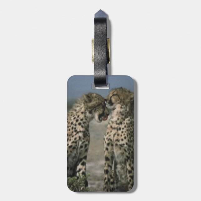 Etiqueta De Bagagem Cheetahs apaixonado (Traseira Vertical)