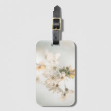 Cherry Blossom Nature Photo