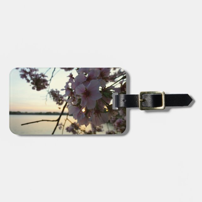 Etiqueta De Bagagem Cherry Blossom Sunset em Washington DC (Frente Horizontal)