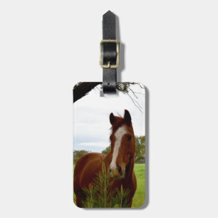 Etiqueta De Bagagem Chestnut Horse A Cheirar Uma Árvore Banksia,