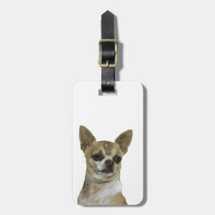 Etiqueta De Bagagem Chihuahua com atitude