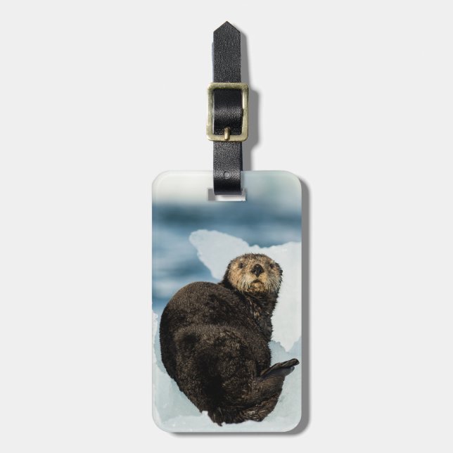 Etiqueta De Bagagem Chilly Sea Otter (Frente Vertical)