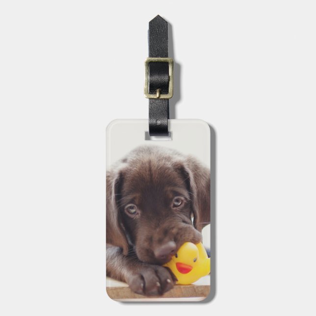 Etiqueta De Bagagem Chocolate Labrador Com Pato De Brinquedo (Frente Vertical)