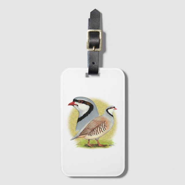 Etiqueta De Bagagem Chukar Partridge Combo (Frente Vertical)
