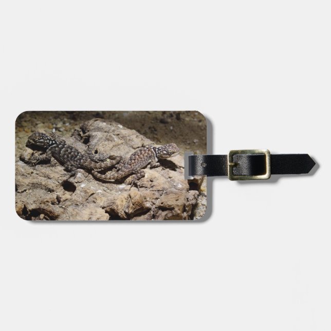 Etiqueta De Bagagem Cianogenys celoporus (Frente Horizontal)