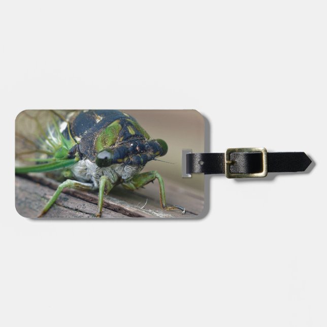 Etiqueta De Bagagem Cicada (Frente Horizontal)