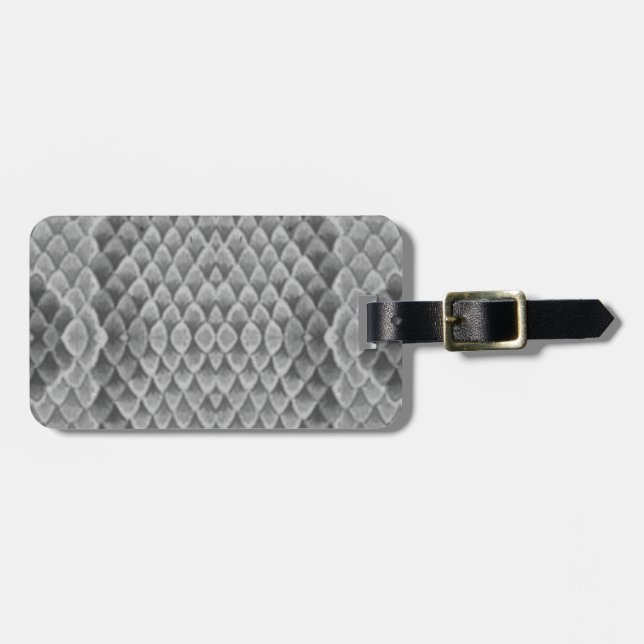 Etiqueta De Bagagem Cinza Snakeskin (Frente Horizontal)