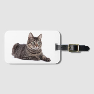 Etiqueta De Bagagem Cinza Tabby Cat