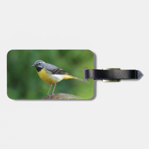 Etiqueta De Bagagem Cinza Wagtail - pássaro