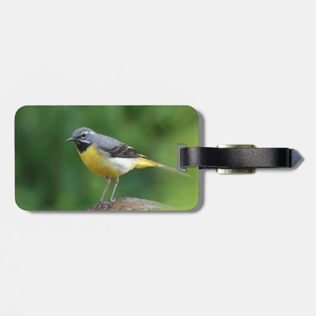Etiqueta De Bagagem Cinza Wagtail - pássaro (Traseira Horizontal)