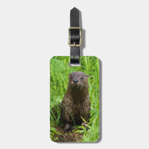 Etiqueta De Bagagem Clever River Otter
