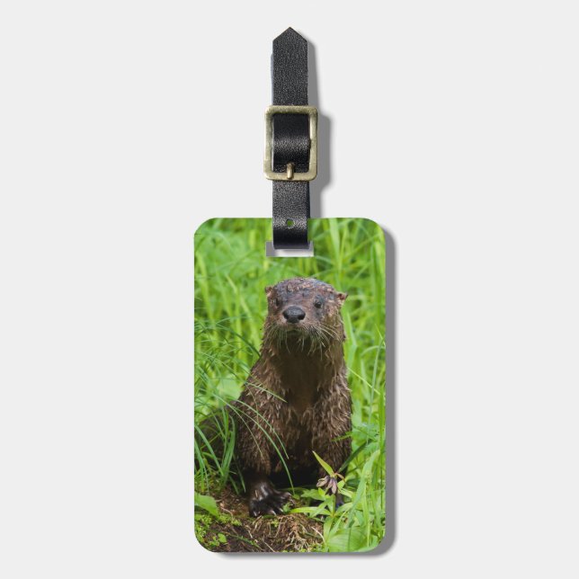 Etiqueta De Bagagem Clever River Otter (Frente Vertical)