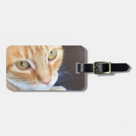 Etiqueta De Bagagem Close up alaranjado do gato