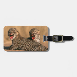 Etiqueta De Bagagem Close-Up De Leopardo (Panthera Pardus) Recém-Nasci