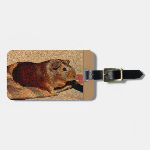 Etiqueta De Bagagem Cobaia do olhar de Corkboard