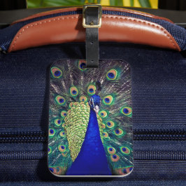 Etiqueta De Bagagem Cobalto Blue Peacock