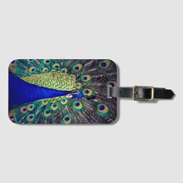 Etiqueta De Bagagem Cobalto Blue Peacock
