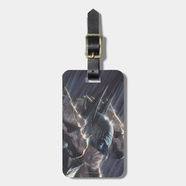 Etiqueta De Bagagem Cobrir Batman Vol 1 #681 (Frente Vertical)