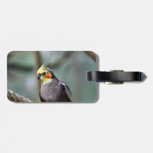 Etiqueta De Bagagem Cockatiel