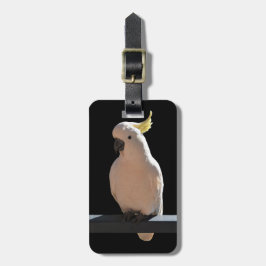 Etiqueta De Bagagem Cockatoon nos apartamentos de relógio de sol Etiqu