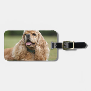 Etiqueta De Bagagem Cocker spaniel bonito