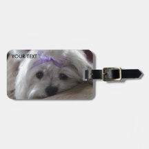 Coisas de design maltês