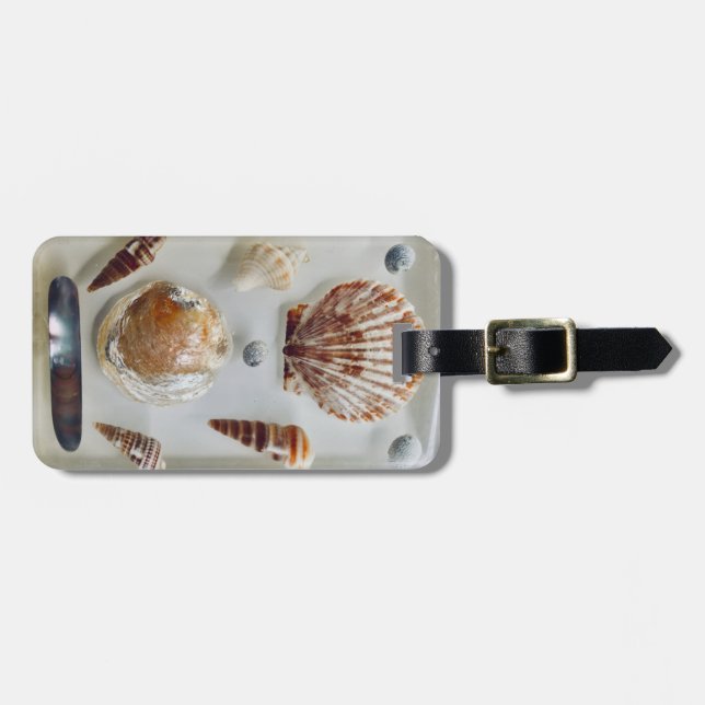 Etiqueta De Bagagem Coleção de Shell de Praia (Frente Horizontal)