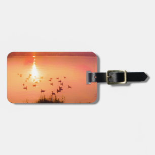 Etiqueta De Bagagem Coletor solar rosa e pêssego