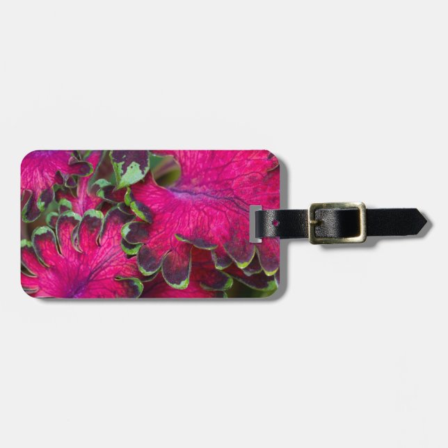 Etiqueta De Bagagem Coleus Macro (Frente Horizontal)