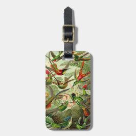 Etiqueta De Bagagem Colibri do Trochilidae de Ernst Haeckel
