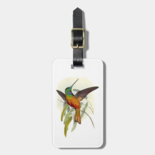 Etiqueta De Bagagem Colibri Throated azul