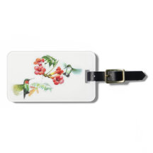 Colibris Throated do rubi