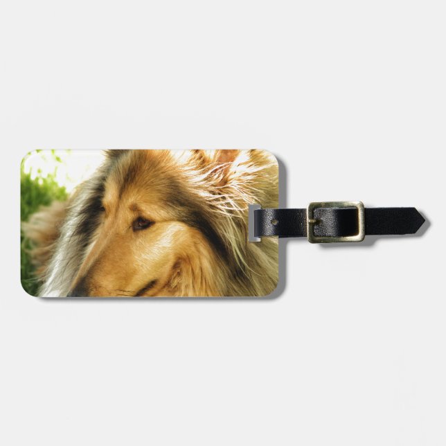 Etiqueta De Bagagem Collie (Frente Horizontal)