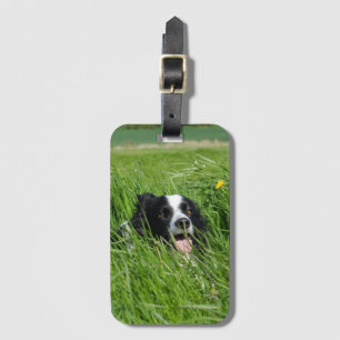 Etiqueta De Bagagem Collie Preta e Branca na Grama